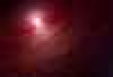       '
